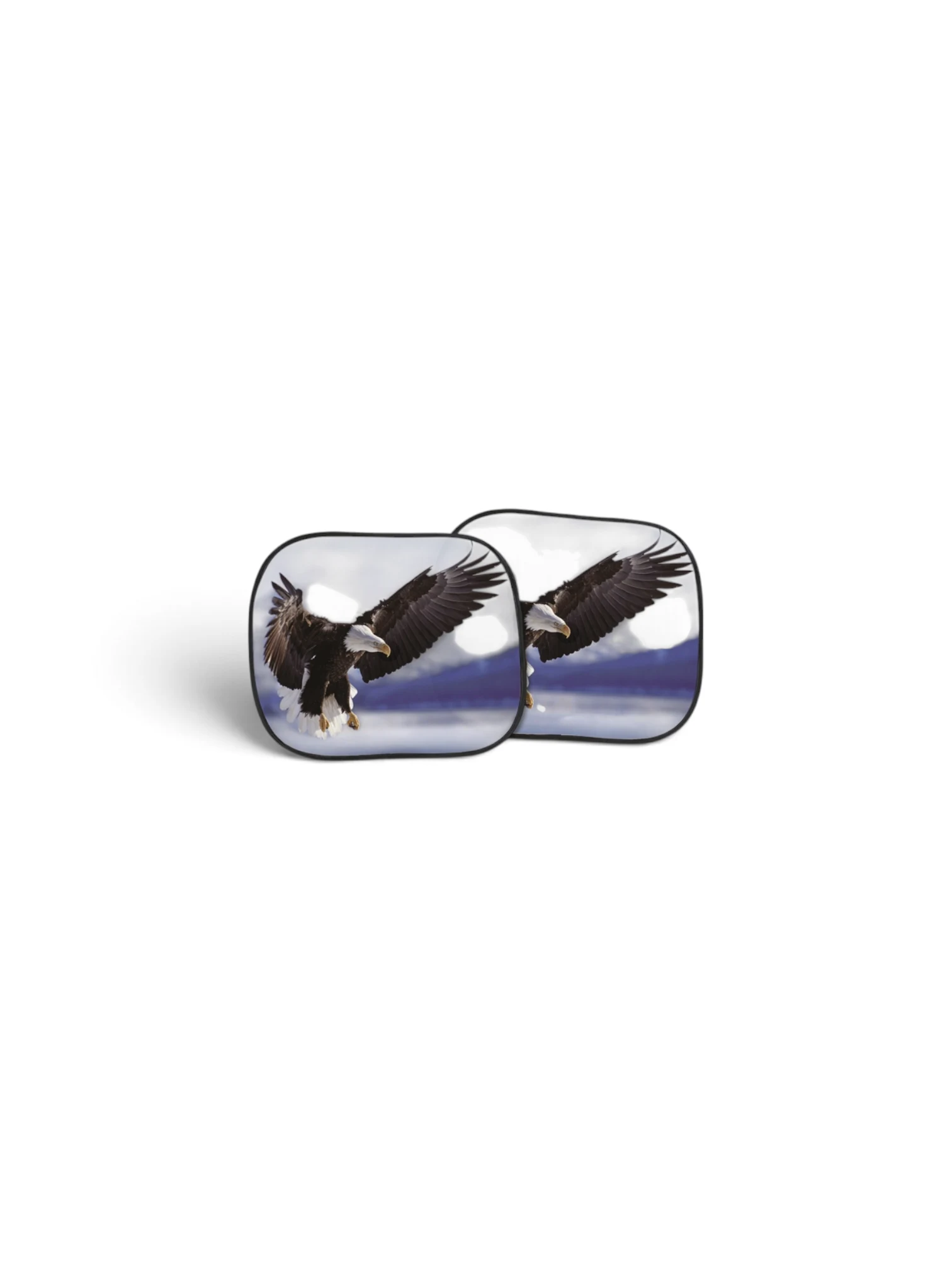 22071BT Set 2 Parasolare Laterale 36X44CM Eagle Bottari
